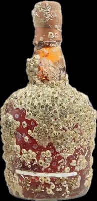 Bouteille de spiritueux : Abyss de la marque Dictador